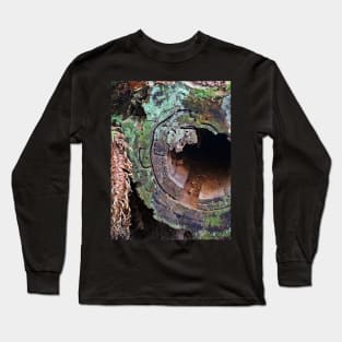 Deception Pass Hollow Log Long Sleeve T-Shirt